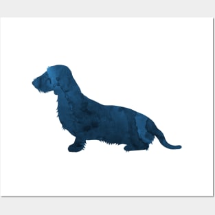 Dachshund Posters and Art